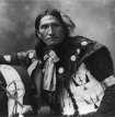 Ruses de Sioux contre Bison futé !